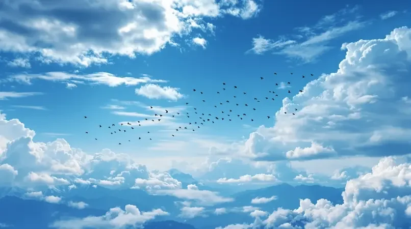 蓝色星球：天空篇封面
